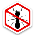 Ants icon